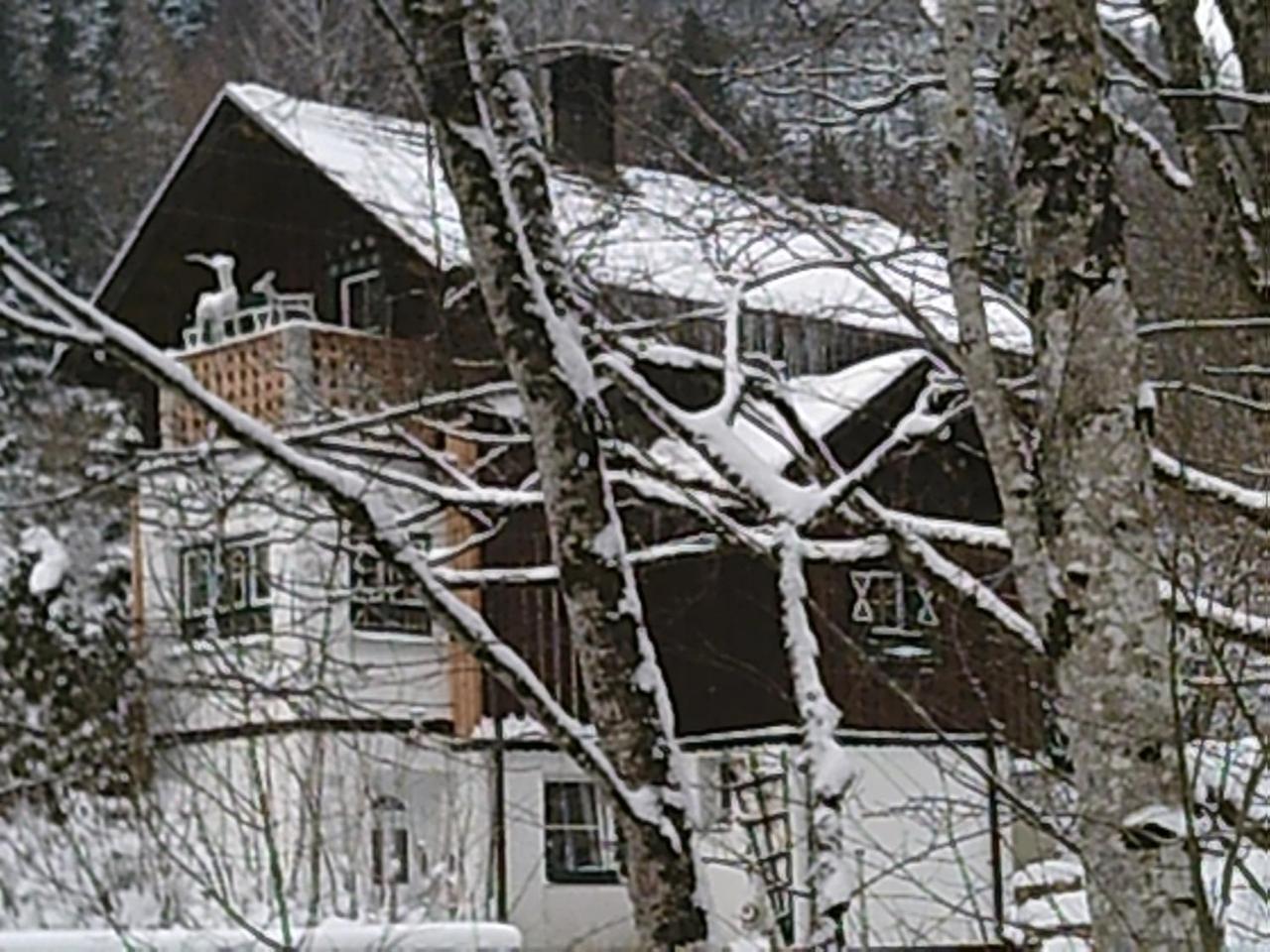 Georges Rast Villa Altaussee Exterior photo