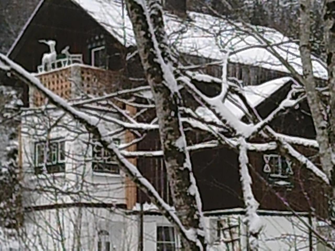 Georges Rast Villa Altaussee Exterior photo
